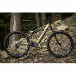 VTT Électriques Superior EXF 8089 Olive Matt / Chrome Silver 22 VTT Électriques Superior EXF 8089 Olive Matt / Chrome Silver -Vélos Urbains Elegant Magasin e x f 8089 olive matt 2 700x700 2