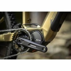 VTT Électriques Superior EXF 8089 Olive Matt / Chrome Silver 25 VTT Électriques Superior EXF 8089 Olive Matt / Chrome Silver -Vélos Urbains Elegant Magasin e x f 8089 olive matt 5 700x700 2