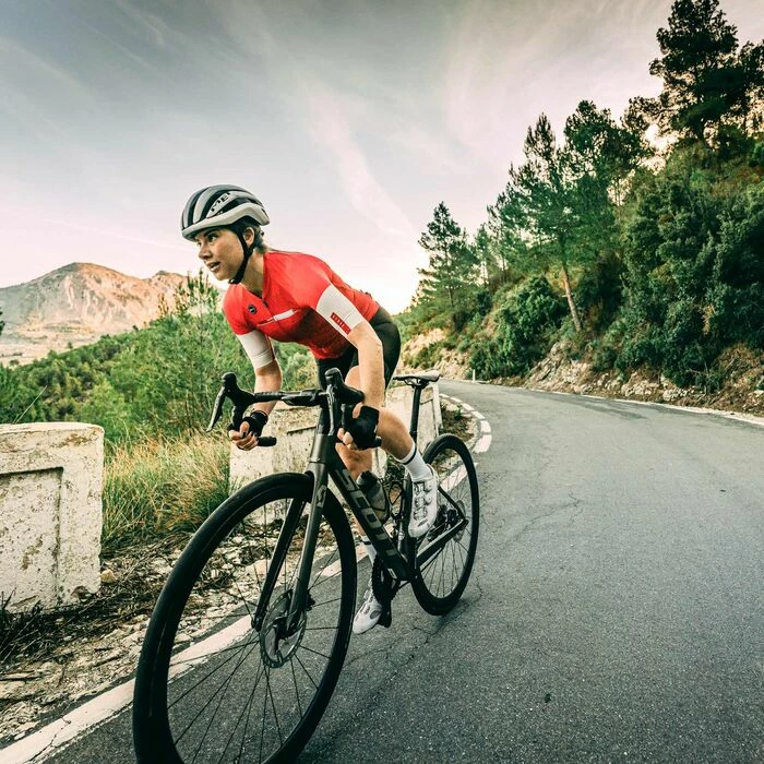 Maillot Manches Courtes Gobik Cx Pro Cranberry Unisex 33 Maillot Manches Courtes Gobik Cx Pro Cranberry Unisex – Image 33